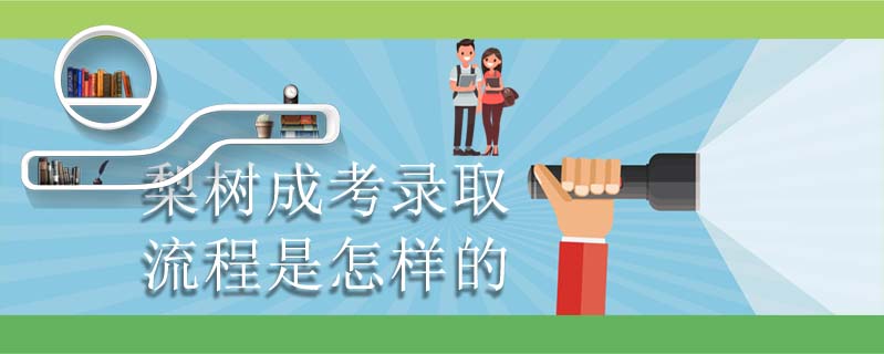 梨樹成考錄取流程是怎樣的