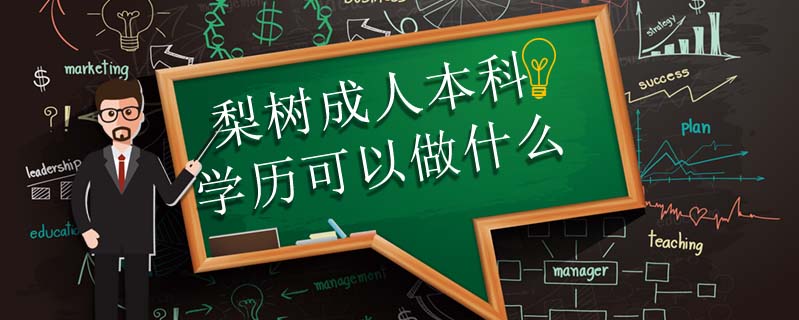 梨樹成人本科學(xué)歷可以做什么