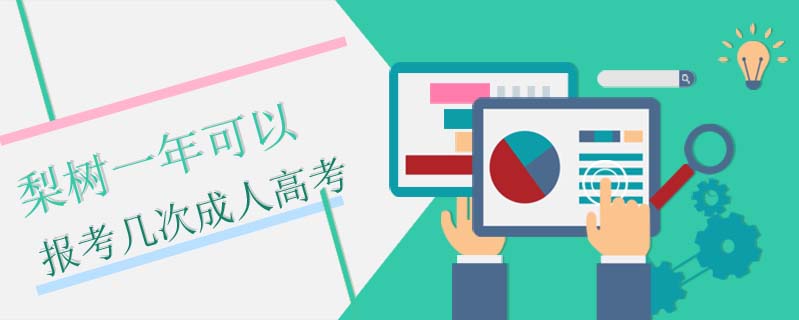 梨樹(shù)一年可以報(bào)考幾次成人高考
